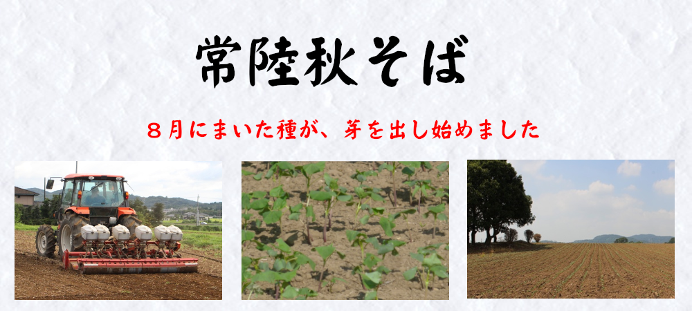 イワセアグリセンターのメイン画像